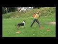 Xeni und Holly - Discdogging - 2. Film
