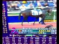 2008 HK Derby Trial paddock