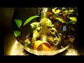 My Biorb Aquarium 2 My Biorb Aquarium 2