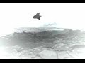 Aereogramme - No Realy, Everythings Fine