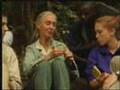 The History of the Jane Goodall Institute