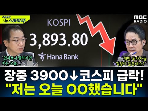 [뉴스하이킥] 코스피 장중 '3900 붕괴' 급락...증시 각도기가 바라본 원인 전망은? - 곽상준, MBC 251105 방송