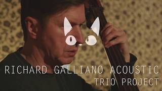 Richard Galliano Acoustic Trio Project 2018 02 11 (Nerijus Bakula)