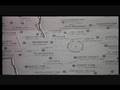 videos de Beyond the Sea part 4 of 4 (Wu Tang USA)