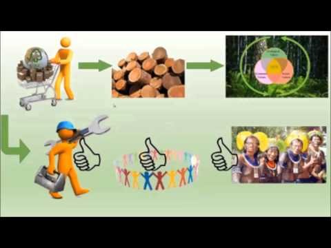 how to obtain fsc certification