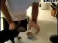 videos de Kitten Wants To Eat Now!!!