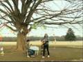ベベチオ / お花畑