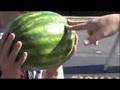 The Kung-Fu Watermelon Challenge