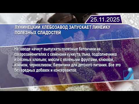 Новостная лента Телеканала Интекс 25.11.25.
