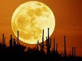 Illuminati,reptillians,star gates: The truth part 6 of 30