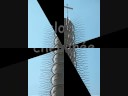 Chiesa Santo Volto.wmv Chiesa Santo Volto.wmv
