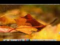This is how my desktop is setted up ;) Hope you like it ;D