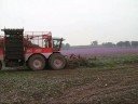 Vervaet Beet Eater Harvesting Sugar Beet Vervaet Beet Eater Harvesting Sugar Beet
