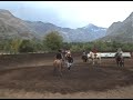 cueca caballo