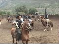 cueca caballo
