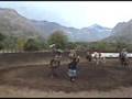 cueca caballo