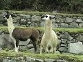 machu picchu peru