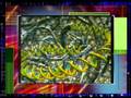 Creation Vs. Evolution-4