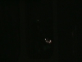 ??????????????? ???????????????