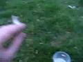 Strijen '05