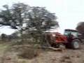 tractor tirando un arbol