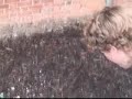 Barf Video