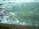 B4 in the Water B4 in the Water