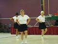 Wade and the Dirt Cloggers