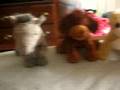 Webkinz-Guessing-Gam
