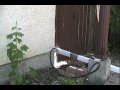 Make-shift Drip Irrigation Project -Pt 5- Laying Pipe
