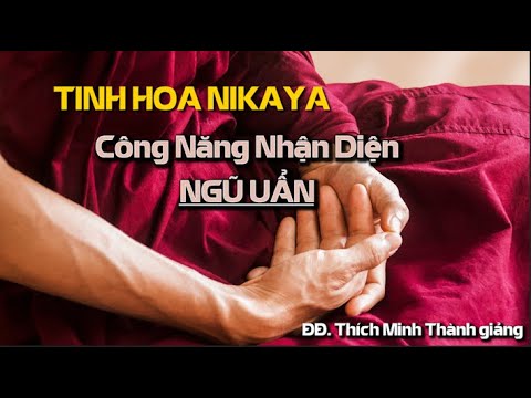 Tinh Hoa NIKAYA – Công Năng Nhận Diện Ngũ Uẩn