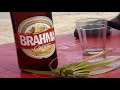 O Alcool e o Gafanhoto (Parte II)