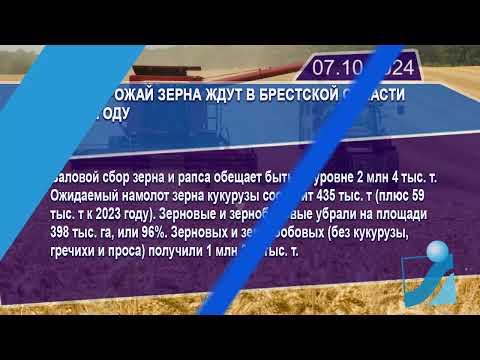 Новостная лента Телеканала Интекс 07.10.24.