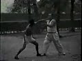 zhang jun feng teaching xingyi in taiwan