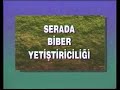Serac?l?k Serac?l?k