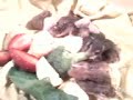 copopirañitas.3gp copopirañitas.3gp