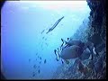 Scuba dive Maldives, Furama & Bathala Islands Scuba dive Maldives, Furama & Bathala Islands