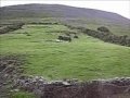 kells sheep centre