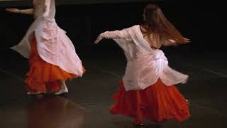 Plesna skupina Shireen - Turkish Oriental with veil