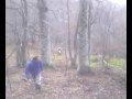 kekec u magli.mp4