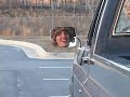 11th/12th Grade Boys - Truck Drivin\ 11th/12th Grade Boys - Truck Drivin\