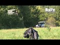 HD Video - Almost crash of Brynildsen – Fabia S2000 – Rally Deutschland 2010