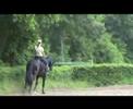 Endlich wieder reiten :-)