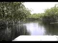 Everglades