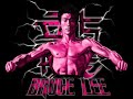 diapositivas de bruce lee  A.P.A