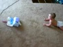 I caught Orion Crawling and can\