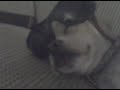 take one of saw X