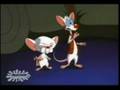 videos de Brainy Jack clip