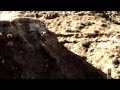 Red Bull Cross X-Treme Downhill Rampage