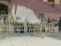 Strandbeest-Theo-Jan